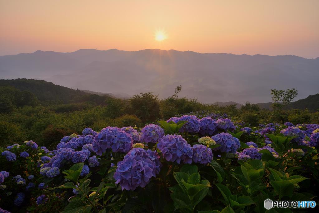 梅雨晴れの朝