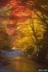 光彩の秋