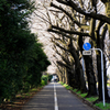 海軍道路_2
