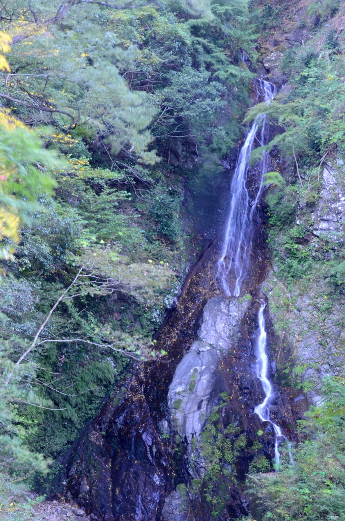 大沢の滝