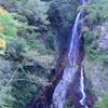 大沢の滝
