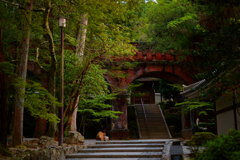 南禅寺　水路閣