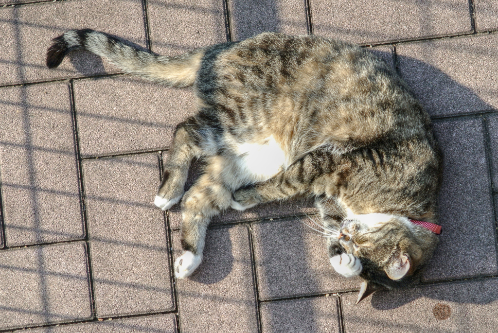 リラックス