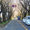 海軍道路_3