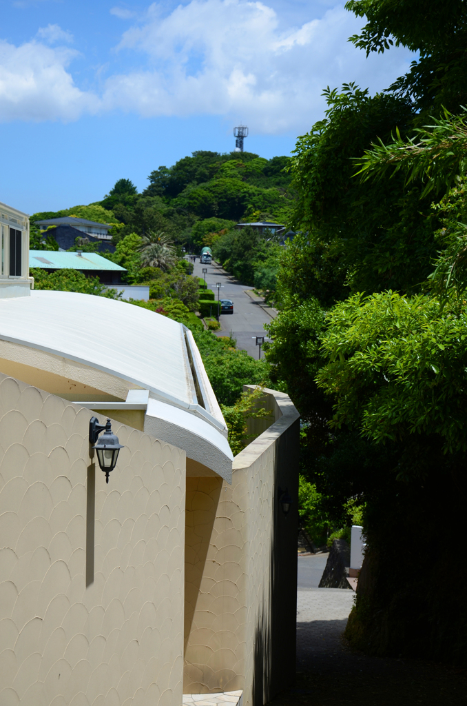zushi_18