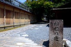 ねねの道