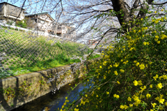 千本桜_8