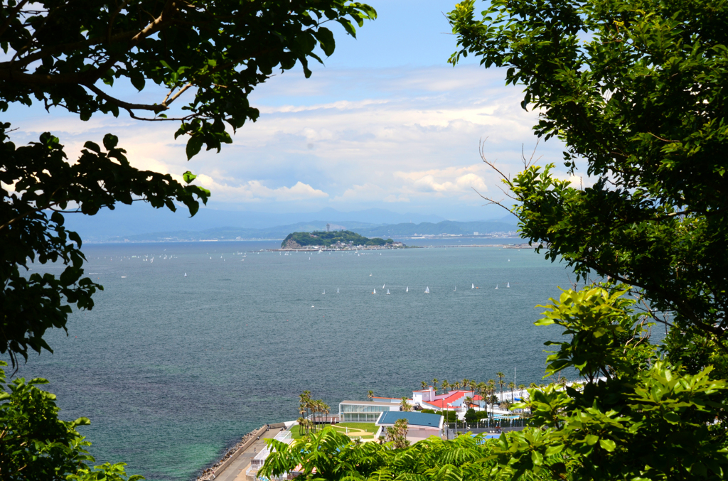 zushi_9
