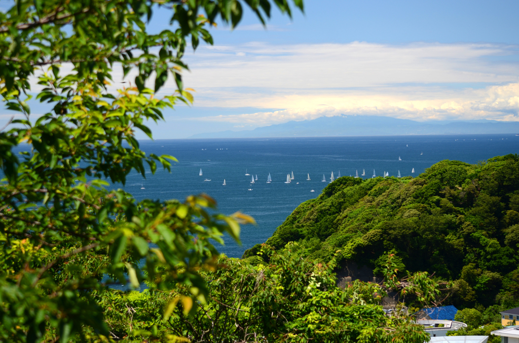 zushi_7