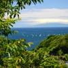 zushi_7
