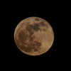 SUPER MOON 2nd