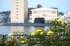 横須賀49