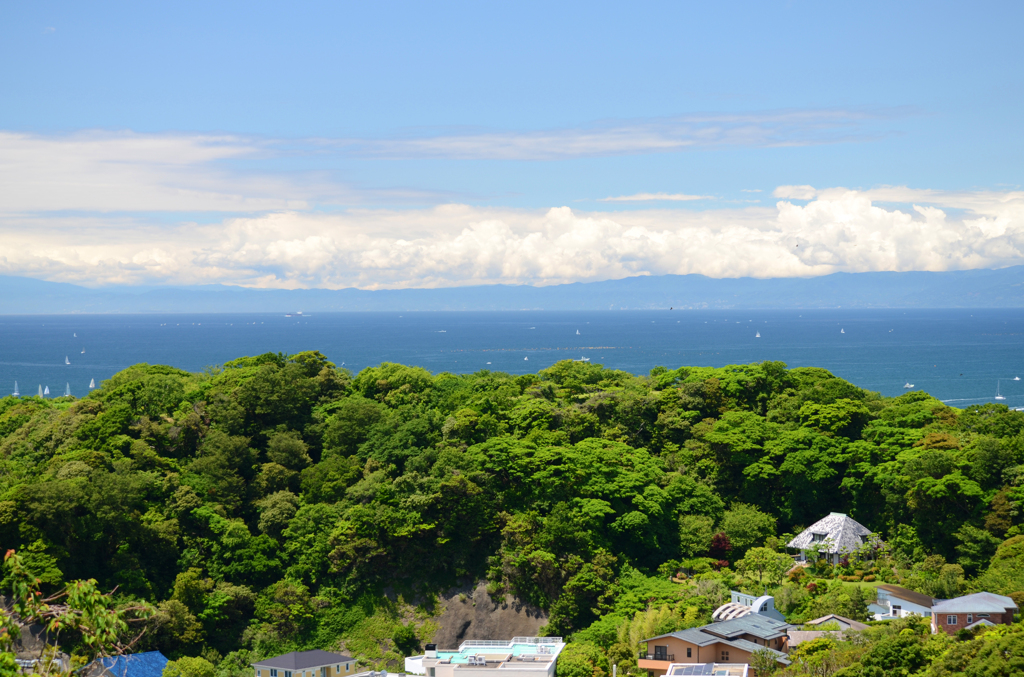 zushi_5