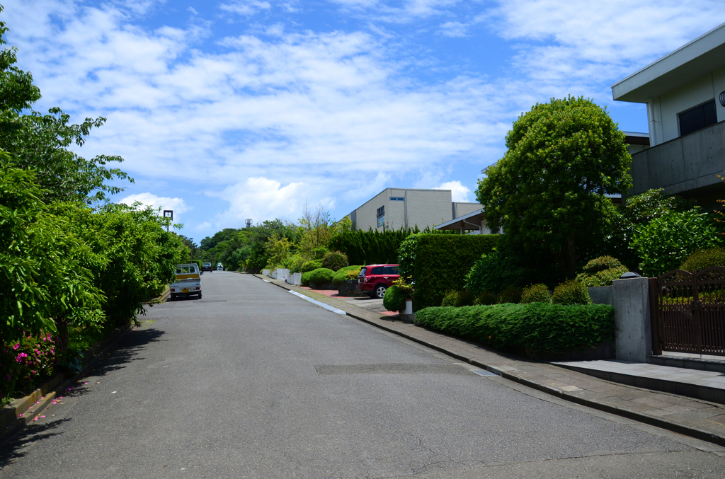 zushi_20