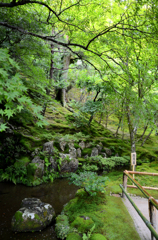 銀閣寺庭園_2