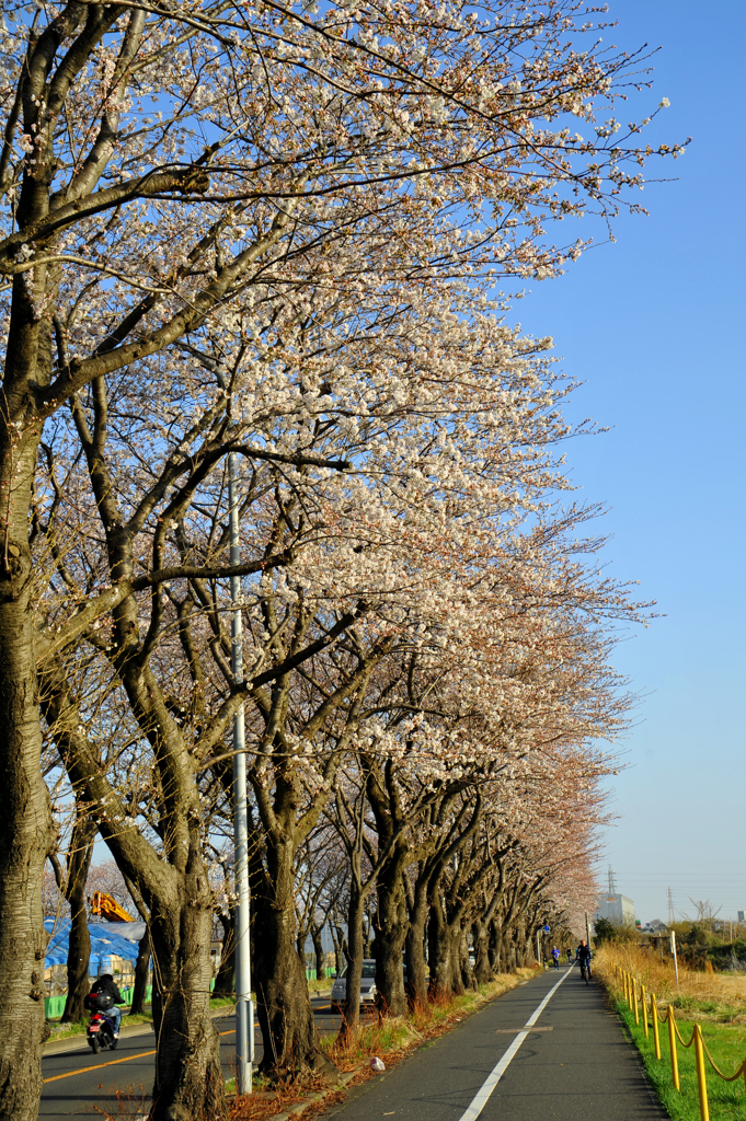 海軍道路_1