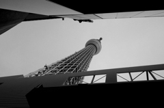 skytree