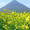 開聞岳３