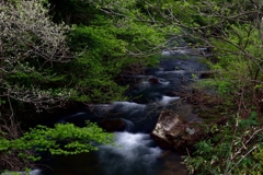 筍沢へ