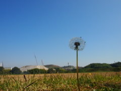 秋の空高く