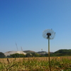 秋の空高く