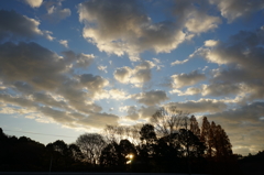 朝の空