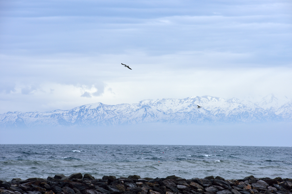 水平線に浮かぶ名峰・立山