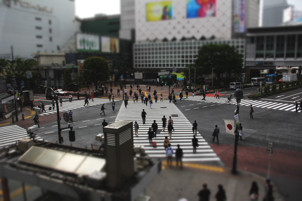 SHIBUYA