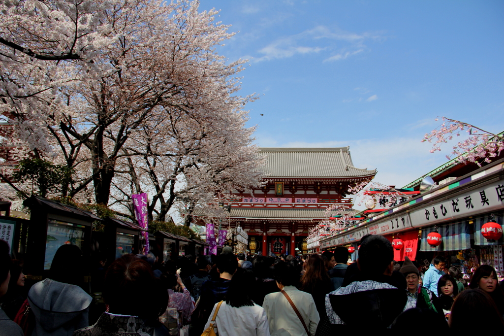 浅草寺～春～