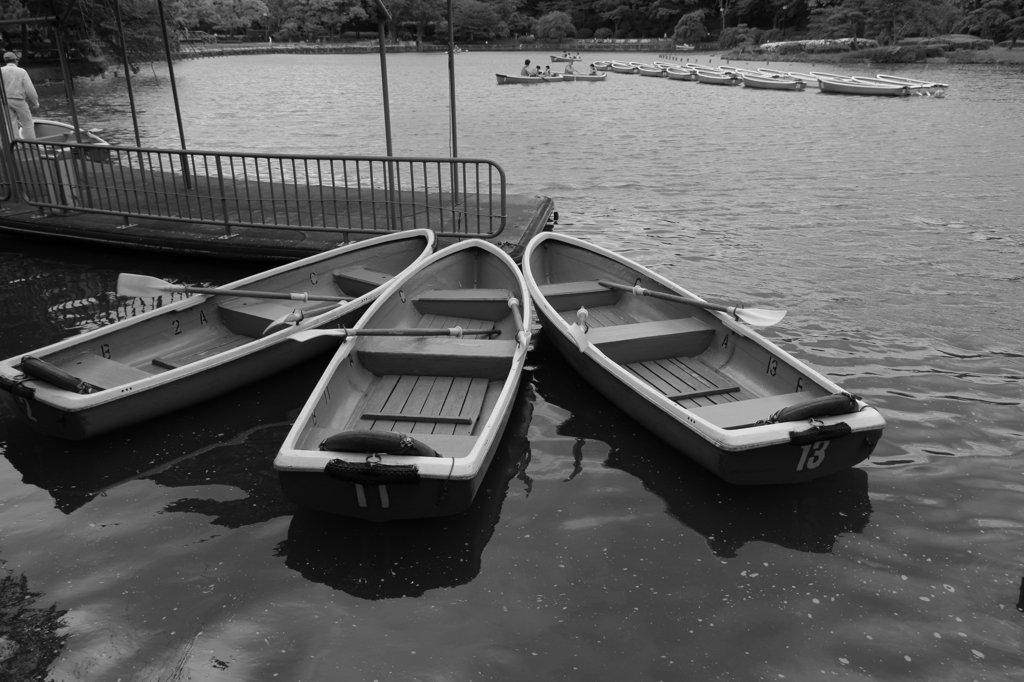 3 Boats