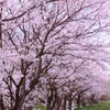 トンネル