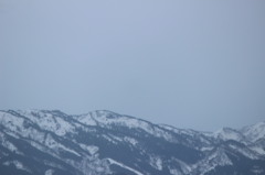 山