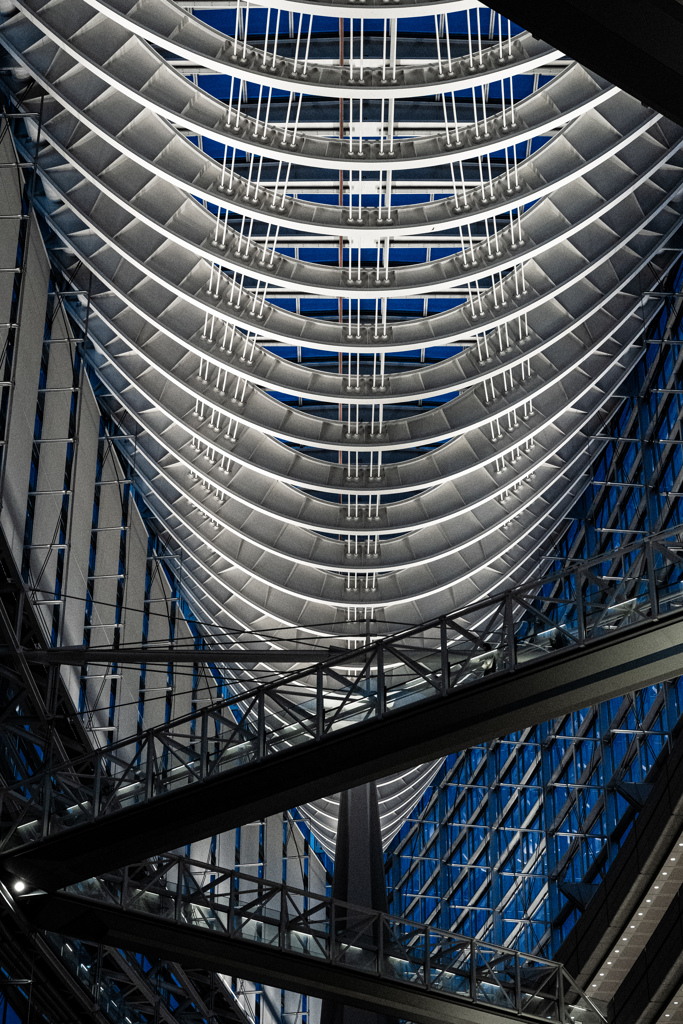 シン・アシンメトリー