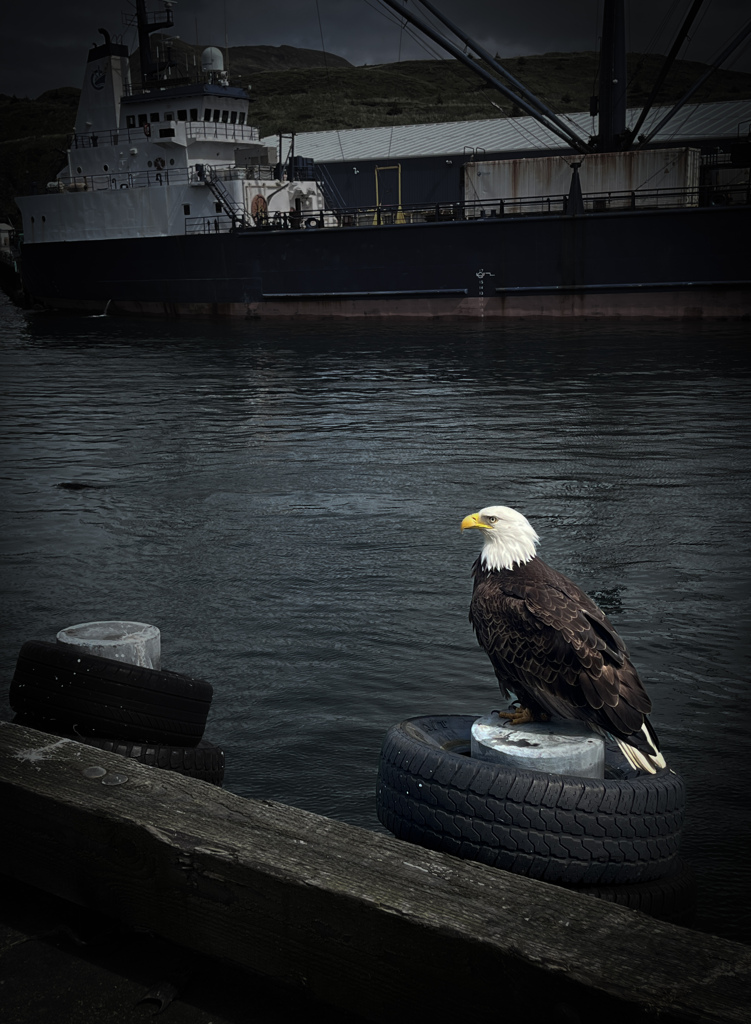 ダッチハーバー