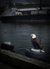 ダッチハーバー