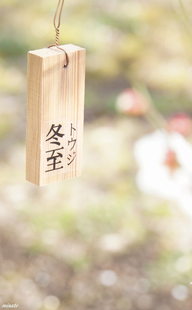春の手前の冬真っ只中？