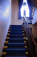 Blue Steps
