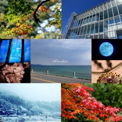 Four SEASONS