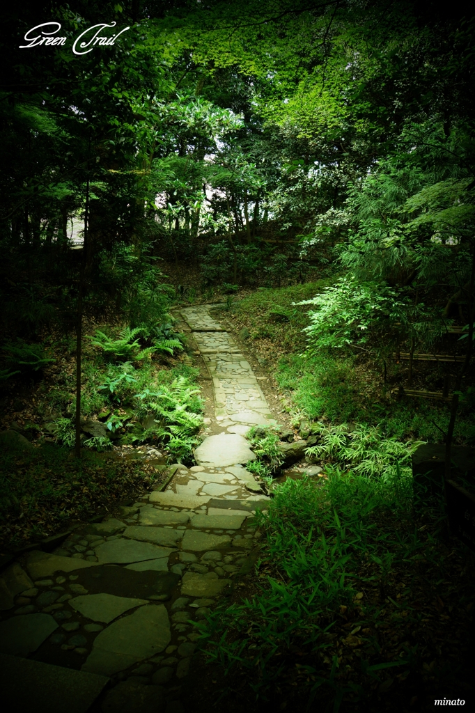 Green Trail