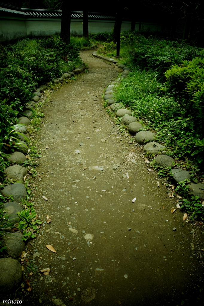 秘密の散歩道2