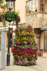 可愛い花の街角