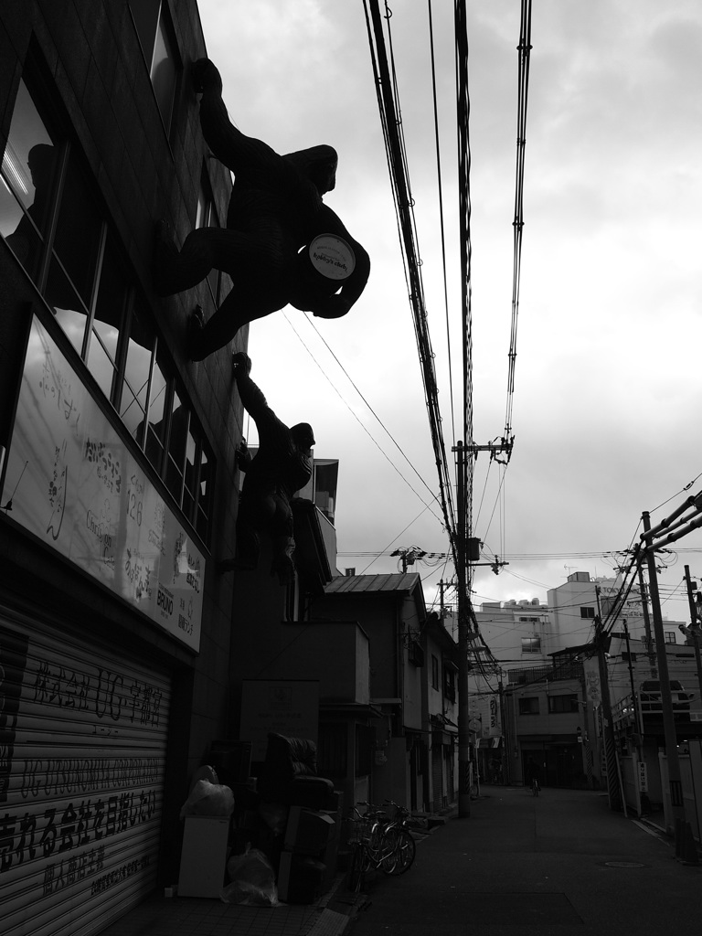P1285668