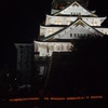「城灯りの景」