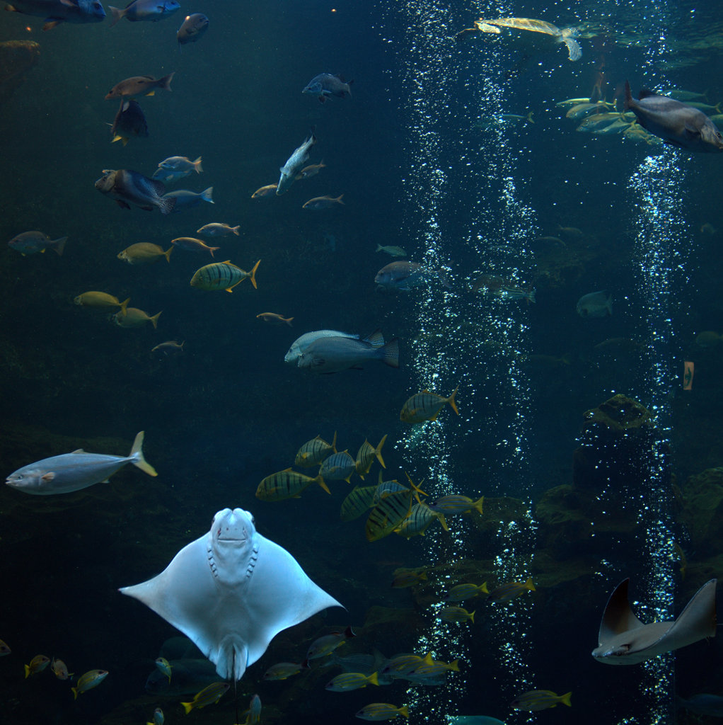 京都水族館