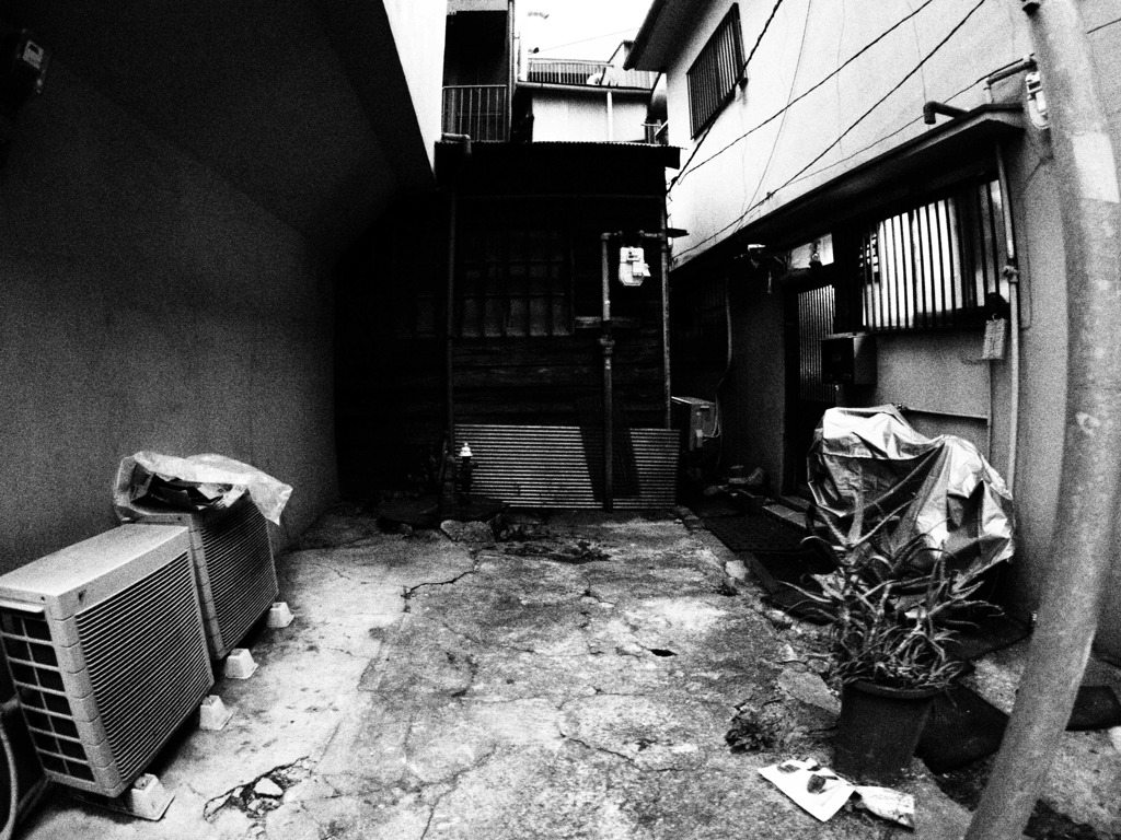 空き地