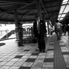 R2248683