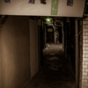 shinsekai