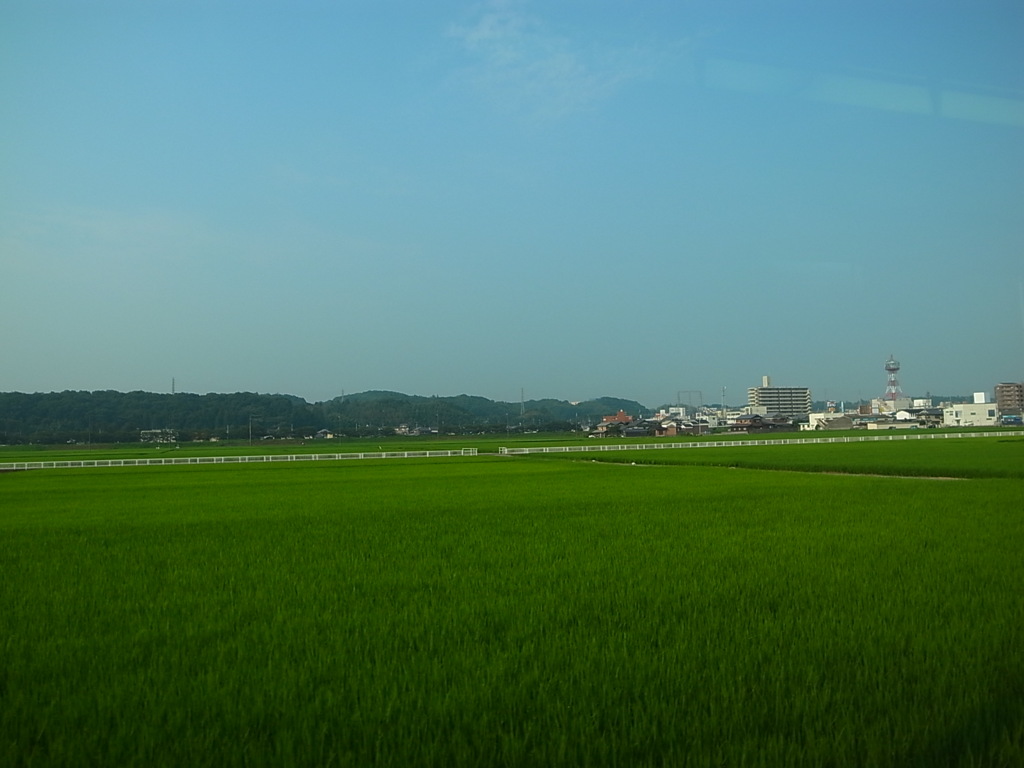 田園