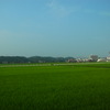 田園