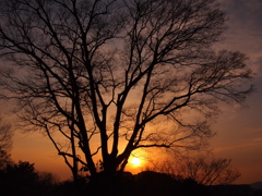 夕焼け